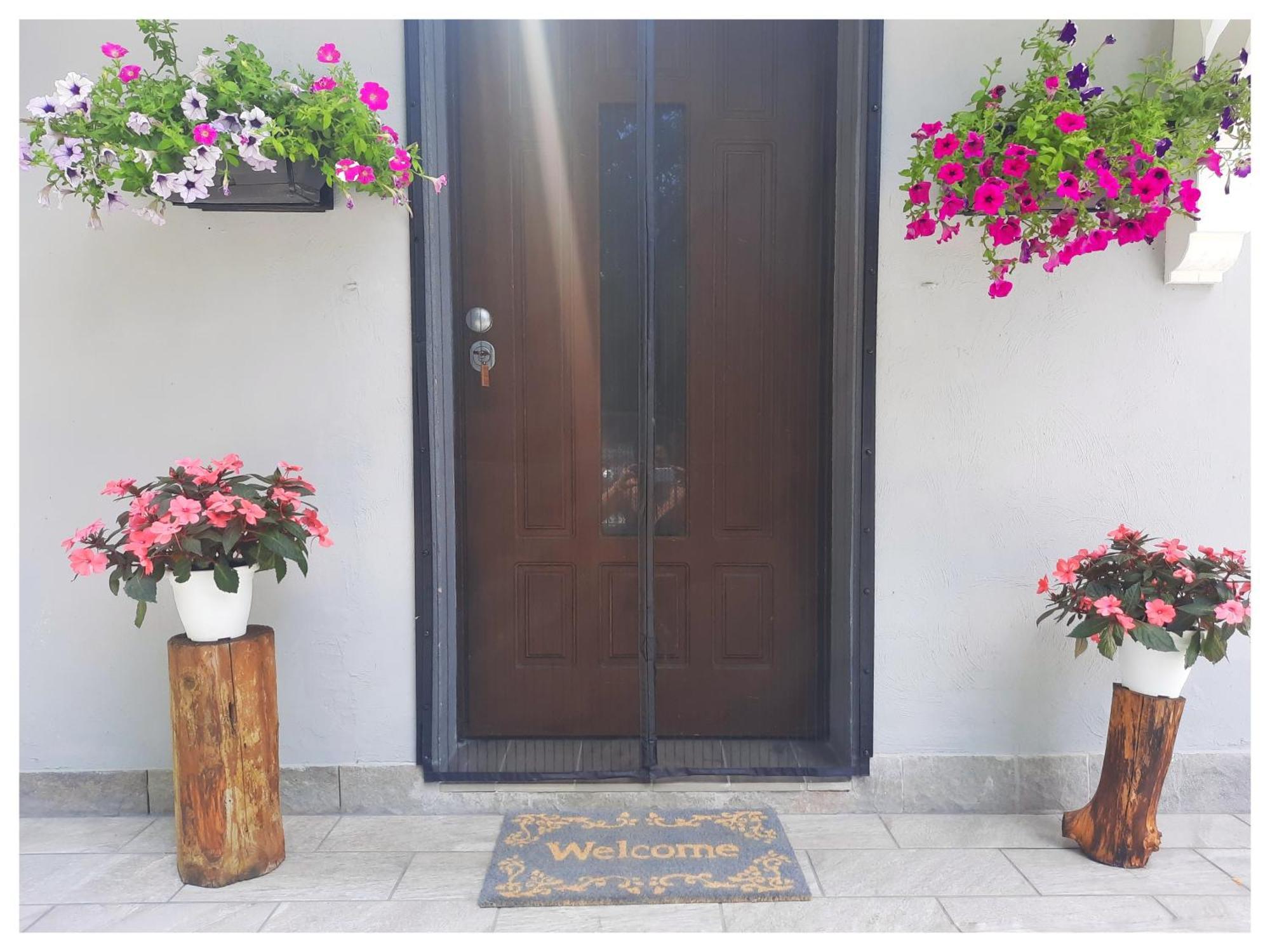 La Casina Bed & Breakfast Trecasali Exterior foto